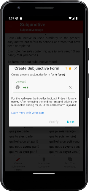 French Subjunctive Screenshot 3