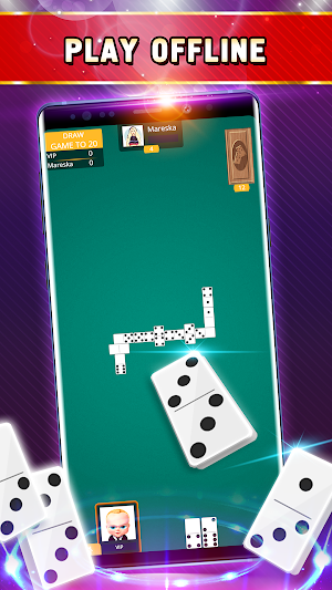 Dominoes Offline - Single Player Board Game Screenshot 1
