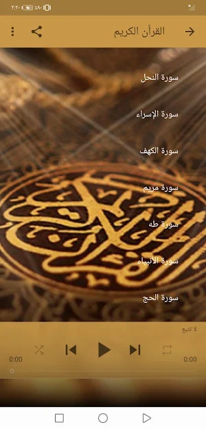القران الكريم الزين محمد بدون  Screenshot 2