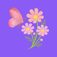 Bloom Cycle Period & Pregnancy