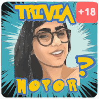 ¿Que artista NOPOR es?