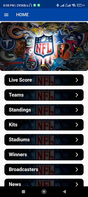 American Football league Screenshot 1