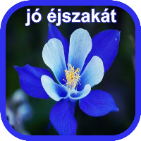 Jó éjszakát