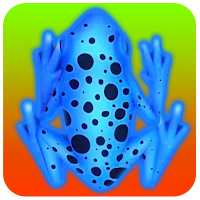 Feed The Frogs