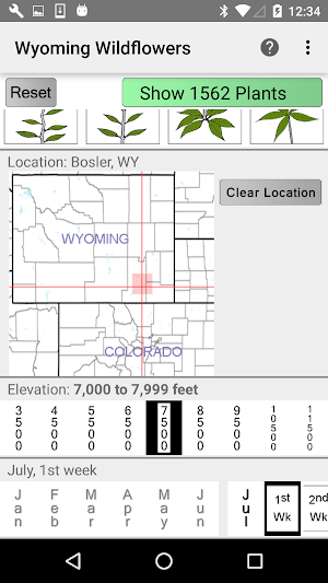 Wyoming Wildflowers Screenshot 1