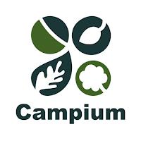 Campium