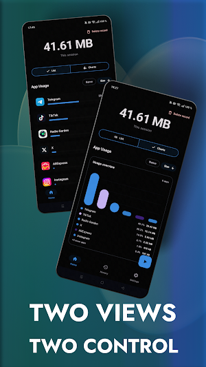 NetPulse - Data Usage Monitor Screenshot 2