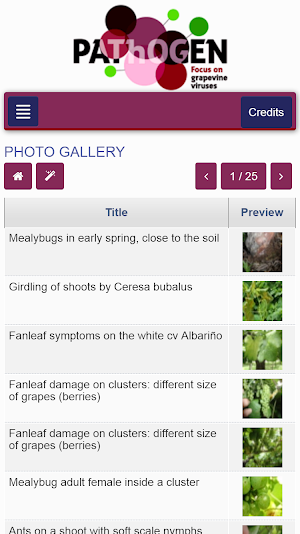 PAThOGEN Screenshot 2