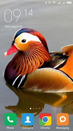 Mandarin duck Wallpapers Screenshot 0