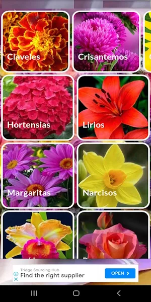 Flores hermosas. Imágenes Screenshot 0