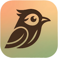 Birdey: Real Bird Card Game