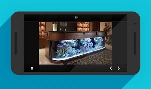 Aquarium Design Inspiration Screenshot 3