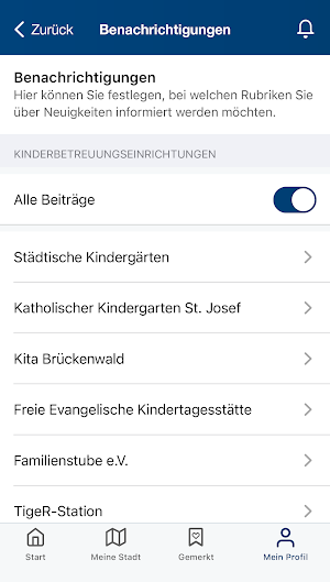 Hayingen Screenshot 3