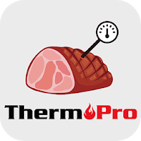 ThermoPro BBQ