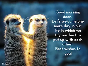 Funny Good Morning & Night Screenshot 2