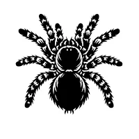 ArachnoBase – Invert Keeper