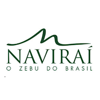 Rádio Naviraí