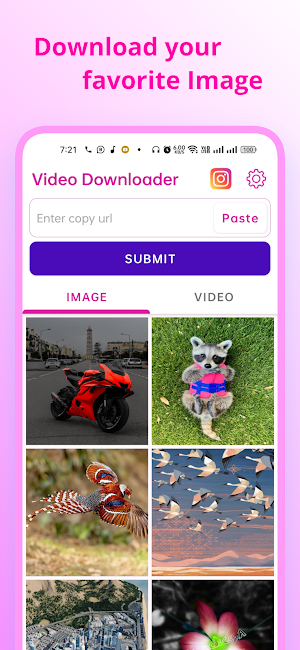 Video downloader Screenshot 0