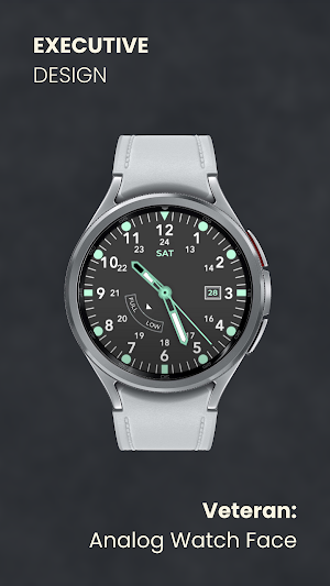 Veteran: Analog Watch Face Screenshot 2