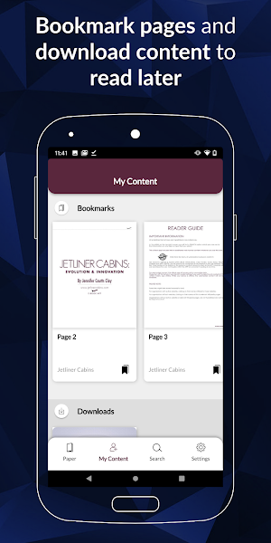 Jetliner Cabins Screenshot 2