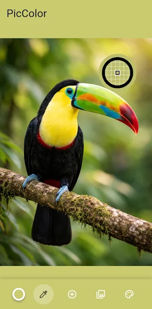 PicColor Screenshot 0