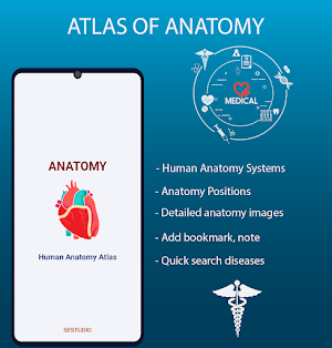 Human Anatomy Handbook Screenshot 0