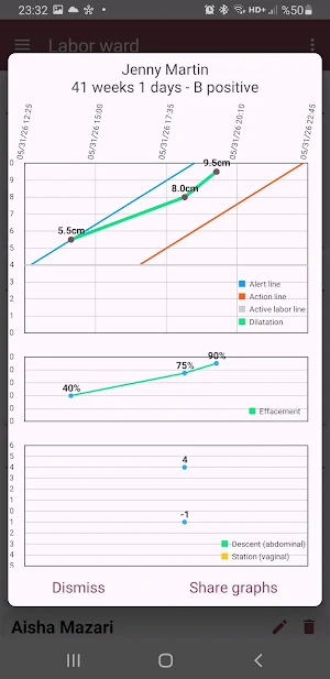 Digital Partograph Screenshot 3