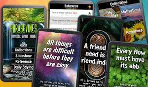 Proverbs, Phrases & Idioms Collection: Phrasevines Screenshot 0