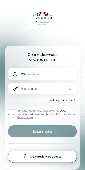 Newton Bridge Screenshot 0