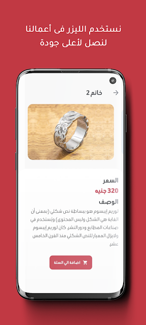 Beit Rizq Screenshot 3