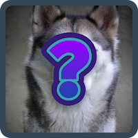 Guess The Dog Breed FREE