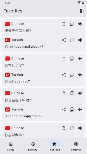Chinese Turkish Translation Screenshot 2