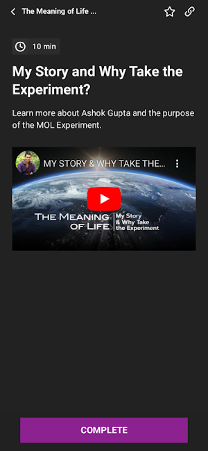 Meaning of Life Experiment Screenshot 3