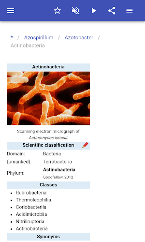 Bacteria Screenshot 3