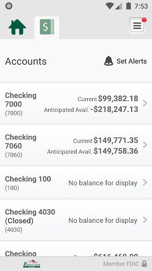 Pinnacle Bank Business Screenshot 3