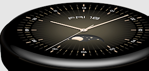 Huawei Watch GT3 Guide: Huawei Screenshot 0