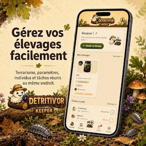 Detritivor Keeper Screenshot 0