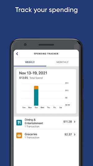 deepblueDebit Screenshot 2