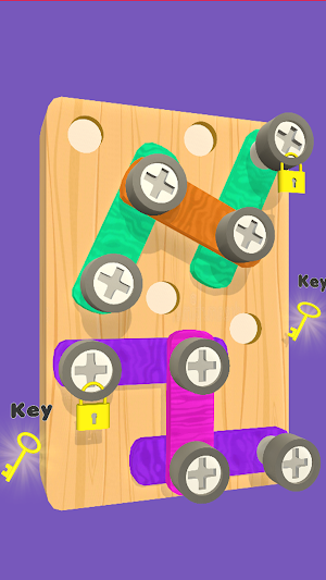 Screw Puzzle - Nuts and Bolts Screenshot 3