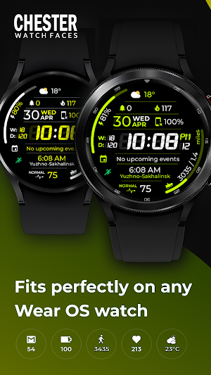 Chester Sport Pro watch face Screenshot 1