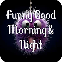 Funny Good Morning & Night