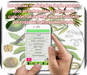 Plantas Medicinales Screenshot 1