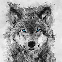 Wolf Wallpaper