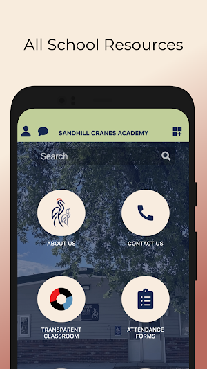 Sandhill Cranes Academy Screenshot 2