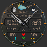 CLA021 Analog Steel