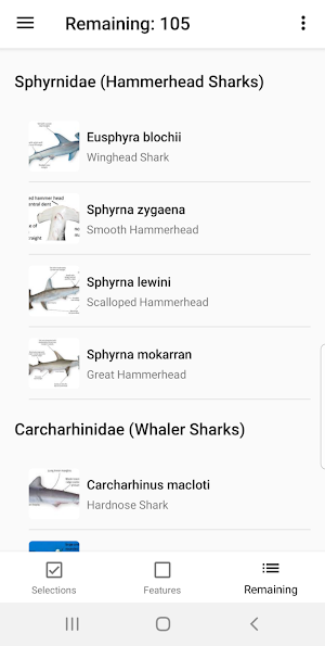 Queensland Shark and Ray ID tool Screenshot 1
