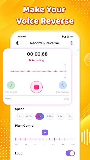 Reverse Audio : Play & Singing Screenshot 1