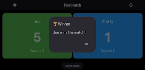 BilliardXScore Screenshot 3
