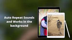 Crane Bird Sounds Screenshot 1