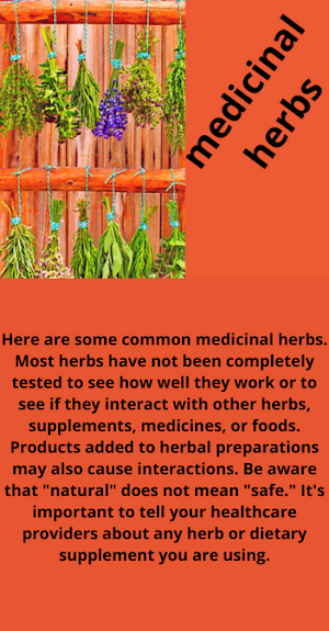medicinal herbs Screenshot 3